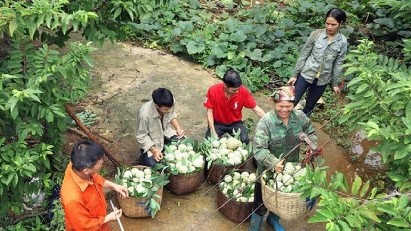 Unlocking market potential for products from ethnic and mountainous areas