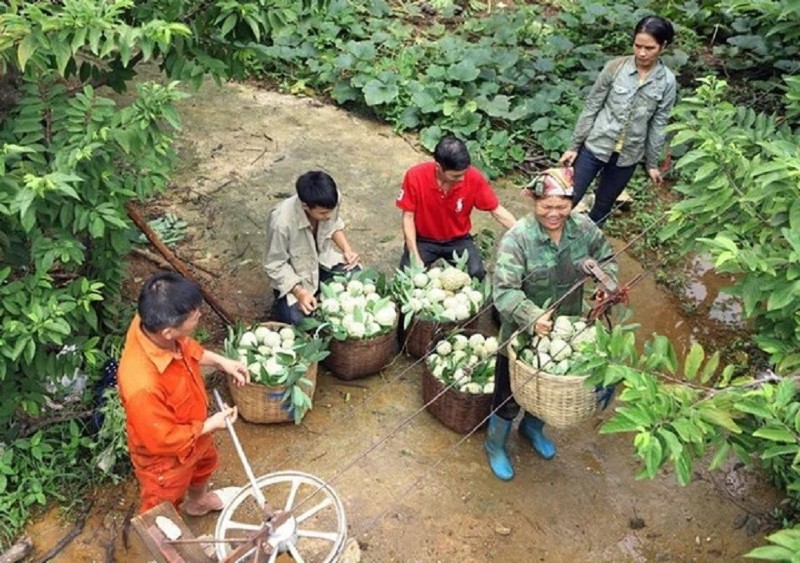 Unlocking market potential for products from ethnic and mountainous areas