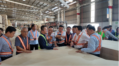 TEKCOM gains priority access to hevea veneer and plywood supply in Cambodia