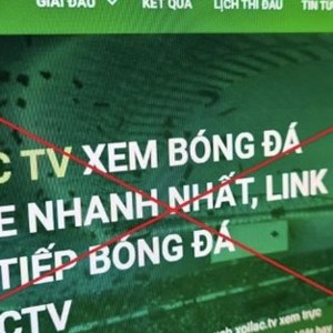 Sự phát triển của công nghệ thông tin, mạng Internet với khả năng tiếp cận số lượng lớn người sử dụng là những điều kiện thuận lợi để các hành vi phạm tội xảy ra và kéo dài. Ảnh: Báo Lao động.