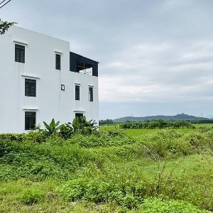 Ảnh minh họa: Thanh Xuân
