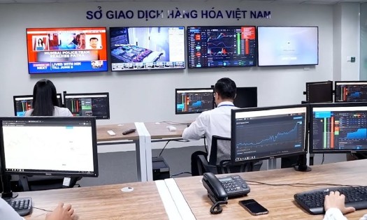 Ảnh minh họa: Nguồn: MXV.