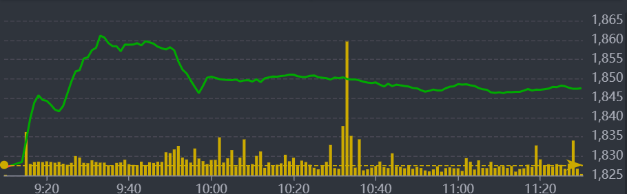 Diễn biến VN-Index sáng nay.