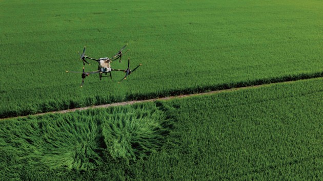 Exploring strategies for developing space and low-altitude economies 