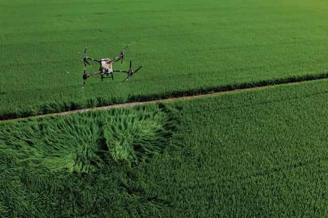 Exploring strategies for developing space and low-altitude economies 