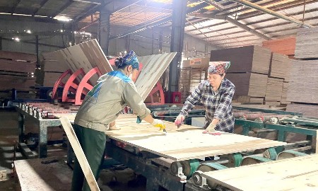 Nguồn lực của doanh nghiệp bị bào mòn, khả năng gánh rủi ro dài ngày bị hạn chế