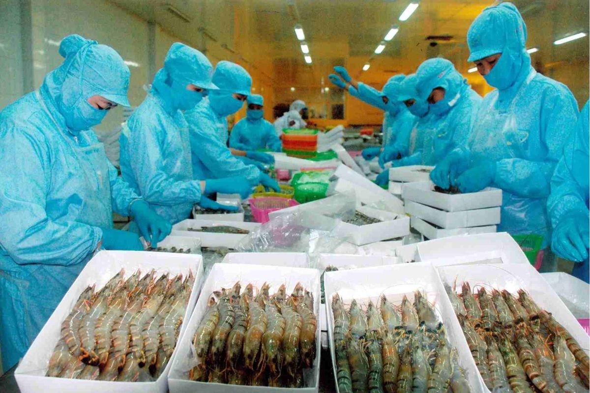 Tôm là mặt hàng xuất khẩu lớn nhất của ngành thủy sản trong 8 tháng năm 2026. Ảnh: MOIT.