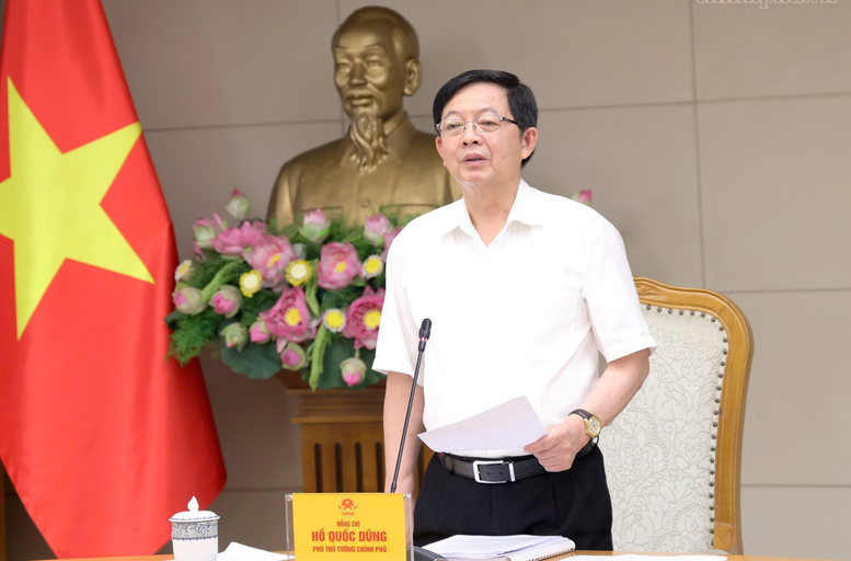 Phó Thủ tướng Hồ Quốc Dũng phát biểu chỉ đạo tại cuộc họp.