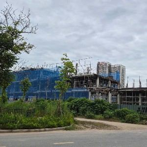 Việc sửa đổi Luật Đất đai 2024 không chỉ nhằm hoàn thiện về mặt kỹ thuật lập pháp mà còn là quá trình thể chế hóa các chủ trương, định hướng lớn của Đảng về đổi mới tư duy xây dựng pháp luật. Ảnh: Như Nguyệt.