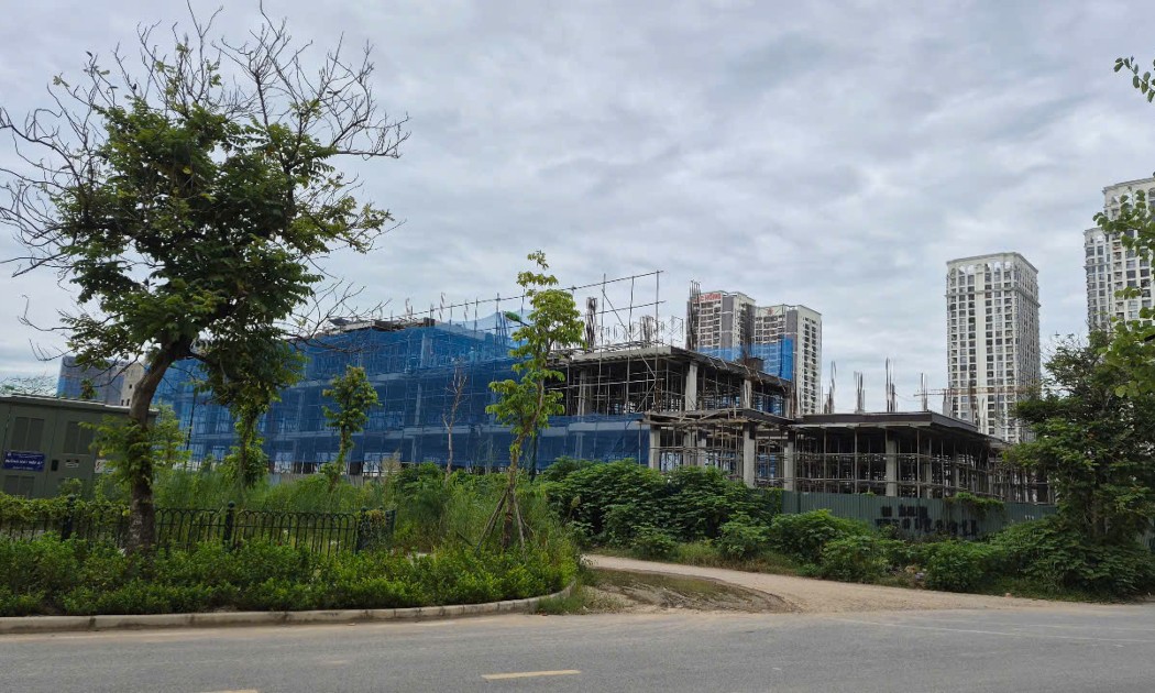 Việc sửa đổi Luật Đất đai 2024 không chỉ nhằm hoàn thiện về mặt kỹ thuật lập pháp mà còn là quá trình thể chế hóa các chủ trương, định hướng lớn của Đảng về đổi mới tư duy xây dựng pháp luật. Ảnh: Như Nguyệt.