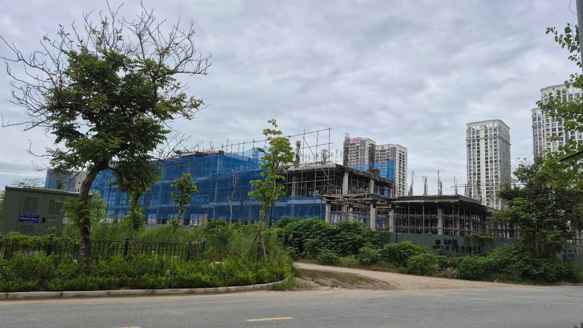 Việc sửa đổi Luật Đất đai 2024 không chỉ nhằm hoàn thiện về mặt kỹ thuật lập pháp mà còn là quá trình thể chế hóa các chủ trương, định hướng lớn của Đảng về đổi mới tư duy xây dựng pháp luật. Ảnh: Như Nguyệt.