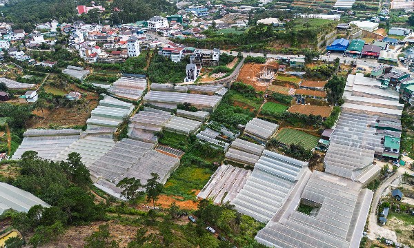 Lâm Đồng đẩy mạnh quy hoạch 5 phường ở Đà Lạt, hướng tới đô thị thông minh và bền vững