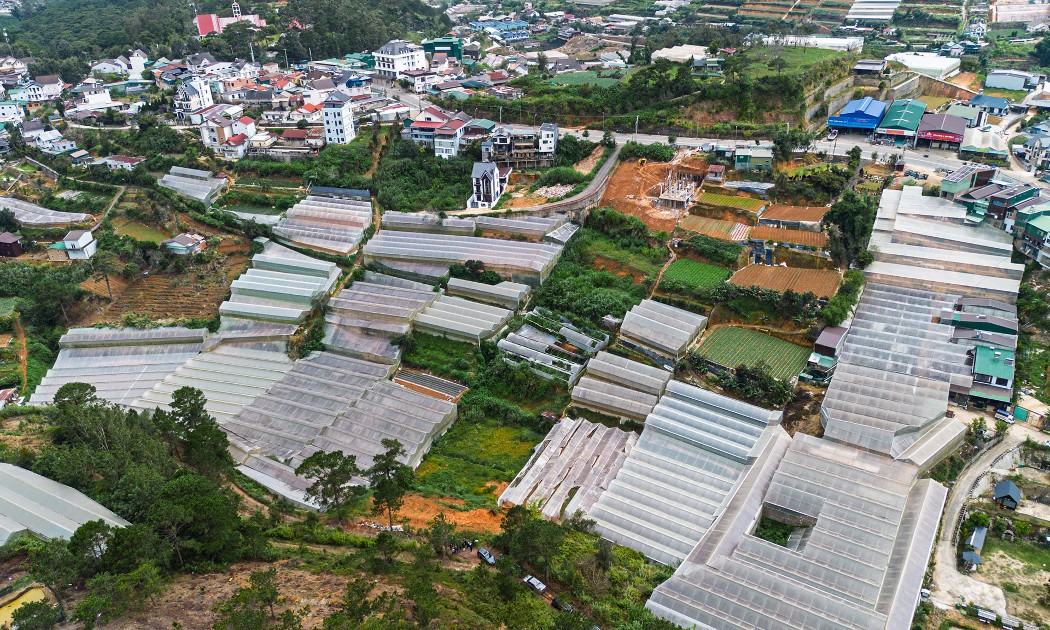 Khu vực phường Lang Biang - Đà Lạt quy hoạch thực hiện dự án nhà ở xã hội Phúc An - Ảnh: Hoàng Sa.