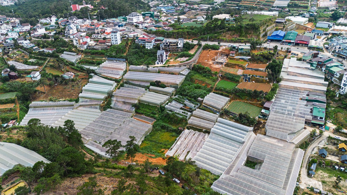 Khu vực phường Lang Biang - Đà Lạt quy hoạch thực hiện dự án nhà ở xã hội Phúc An - Ảnh: Hoàng Sa.
