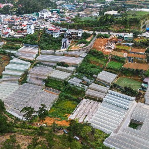 Khu vực phường Lang Biang - Đà Lạt quy hoạch thực hiện dự án nhà ở xã hội Phúc An - Ảnh: Hoàng Sa.