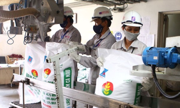 Ngành phân bón bứt phá xuất khẩu, giảm mạnh nhập khẩu