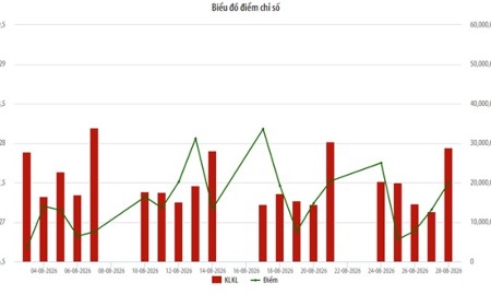 Biểu đồ điểm chỉ số UPCoM Index.
