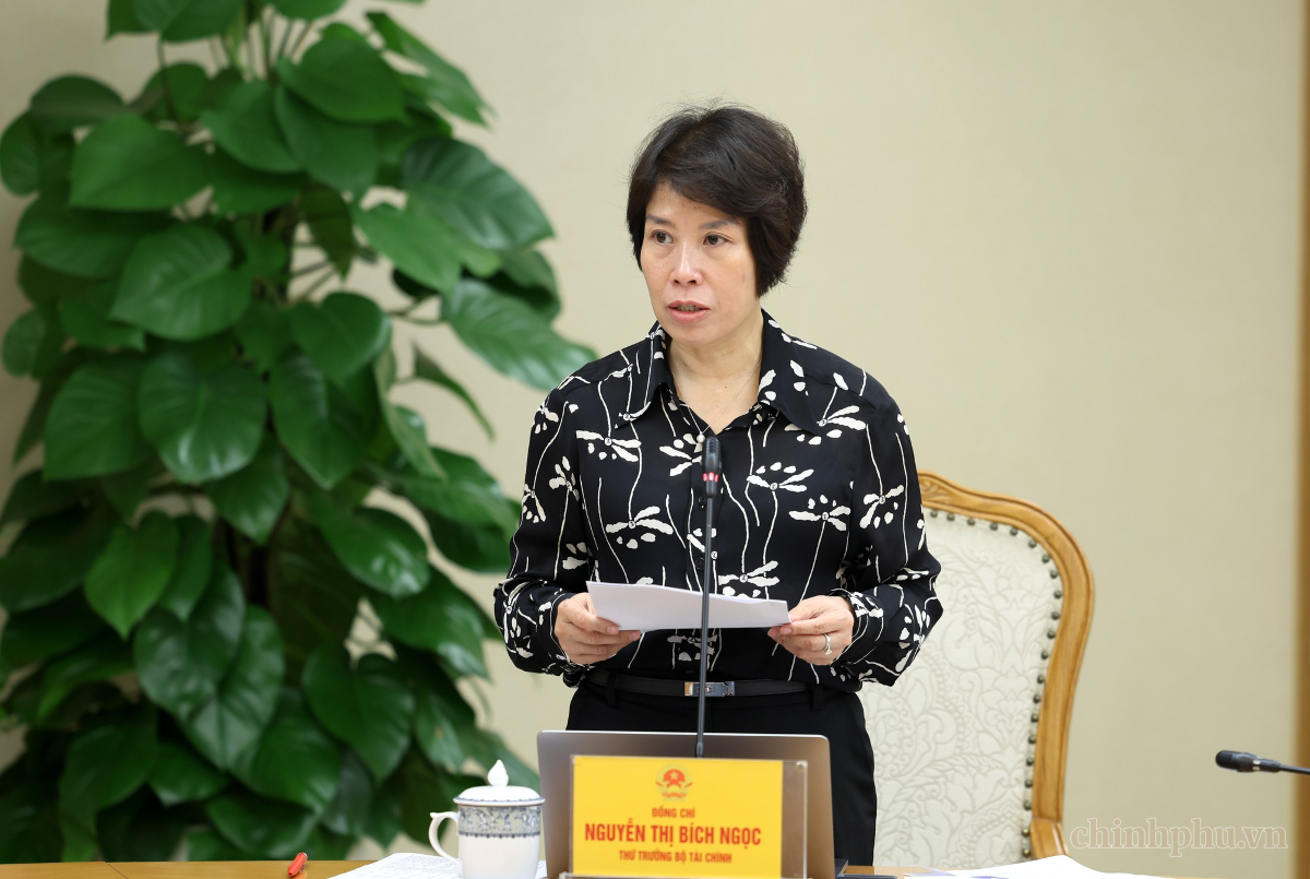 Thứ trưởng Bộ Tài chính Nguyễn Thị Bích Ngọc báo cáo tại phiên họp. Ảnh: Chinhphu.vn