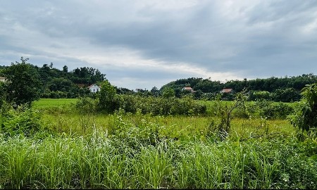 Cơ chế hỗ trợ người sử dụng đất khi triển khai dự án điện hạt nhân