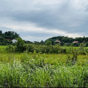 Ảnh minh họa: Thanh Xuân