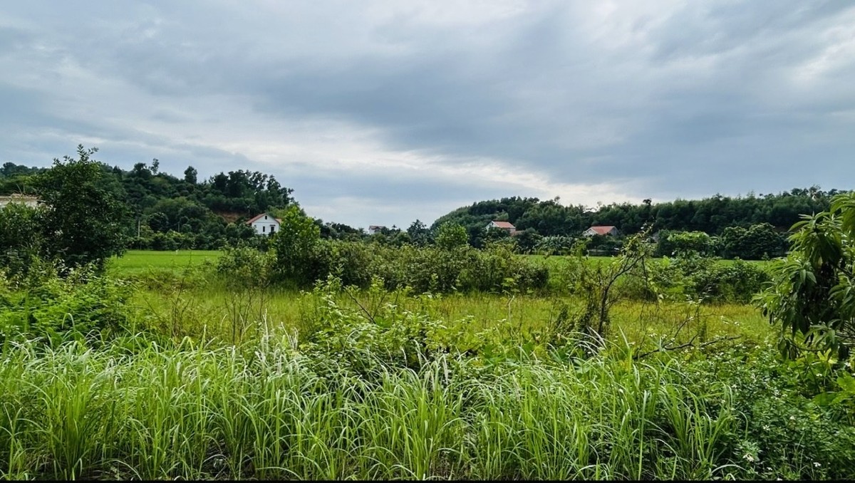 Ảnh minh họa: Thanh Xuân