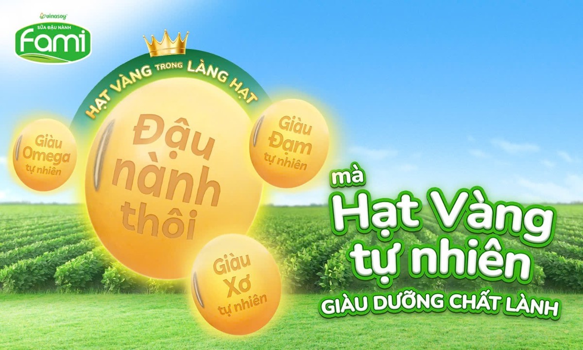 Hạt đậu nhỏ bé chứa đựng nhiều giá trị dưỡng chất vẫn đang được khoa học tiếp tục khám phá.