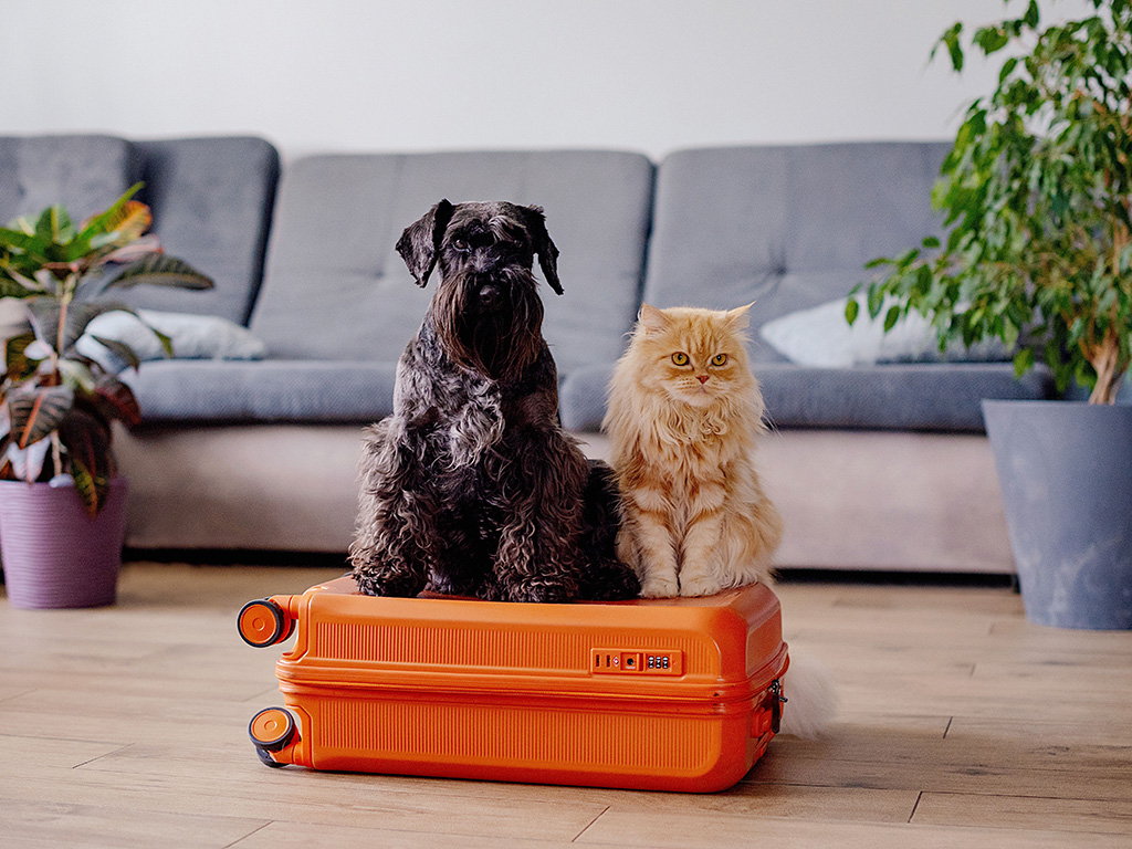 Ảnh: iStock
