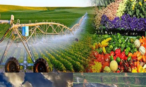 Đề xuất 18 lĩnh vực nông nghiệp môi trường người có chức vụ không được lập doanh nghiệp sau thôi chức