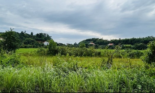 Illustrative image (Photo: Thanh Xuan)