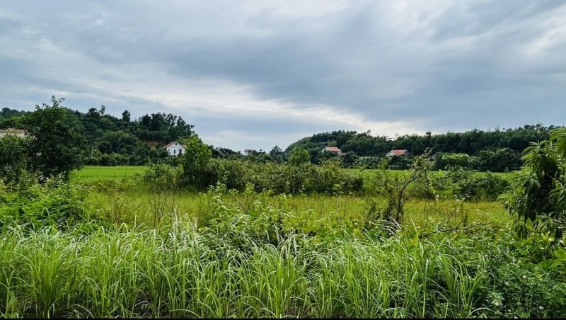 Mechanisms introduced to assist land users during nuclear power project implementation