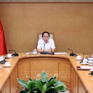 Phó Thủ tướng Lê Tiến Châu phát biểu. Ảnh: An Đăng/TTXVN.