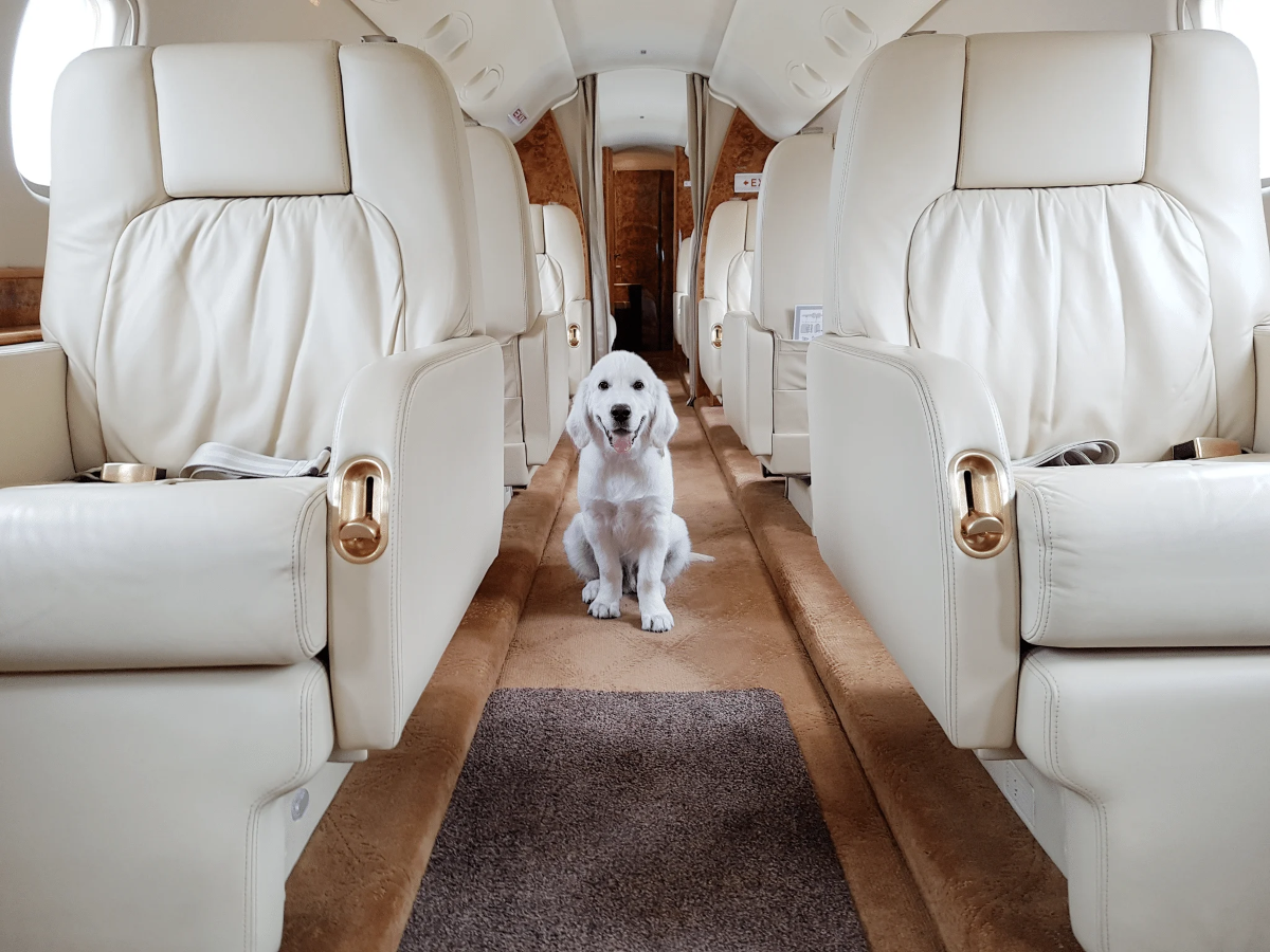Ảnh: Lux Aviation