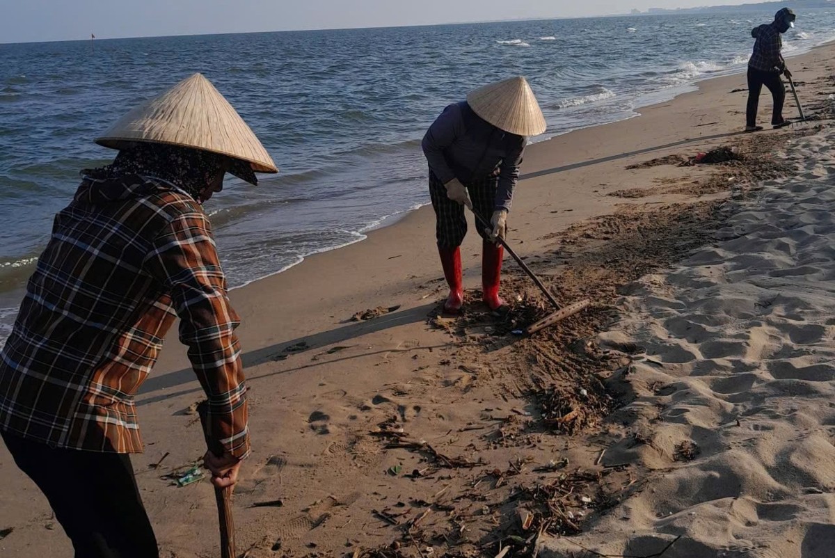 Từng cành cây, túi rác và mảnh rác nhỏ lẫn trong cát được người dân thu gom. Ảnh: UBND xã Hoằng Tiến