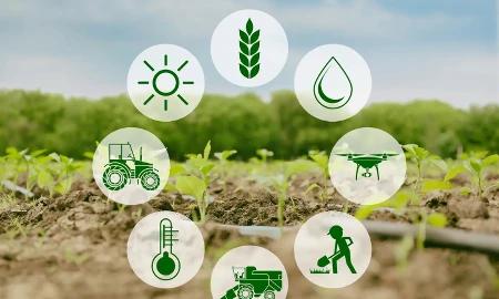 Tăng mức hỗ trợ phí bảo hiểm nông nghiệp tới 95%
