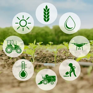 Tăng mạnh mức hỗ trợ phí bảo hiểm nông nghiệp tới 95%