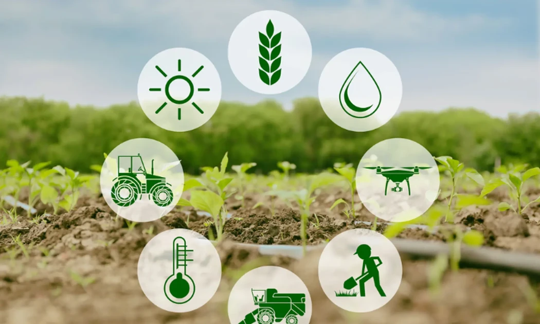 Tăng mạnh mức hỗ trợ phí bảo hiểm nông nghiệp tới 95%