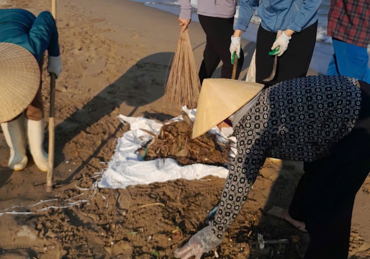 Các hoạt động vệ sinh môi trường được kỳ vọng duy trì thường xuyên, góp phần bảo vệ cảnh quan và môi trường các khu du lịch biển Thanh Hóa. Ảnh: UBND xã Hoằng Tiến