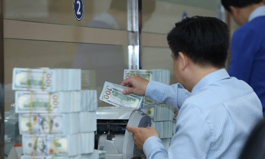 Ngân hàng Nhà nước vẫn duy trì dư địa cho tỷ giá tăng trở lại (Ảnh: Duy Linh).