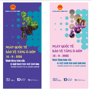 Ngày Quốc tế bảo vệ tầng ô-dôn 2026 với chủ đề: “Hành động toàn cầu vì một hành tinh mát lành hơn”. Ảnh: Cục Biến đổi khí hậu