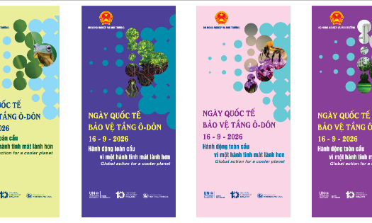 Ngày Quốc tế bảo vệ tầng ô-dôn 2026 với chủ đề: “Hành động toàn cầu vì một hành tinh mát lành hơn”. Ảnh: Cục Biến đổi khí hậu