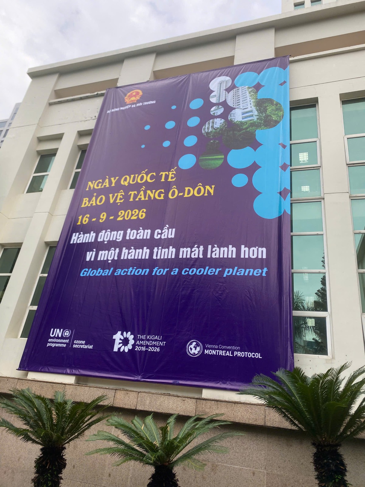 Việt Nam đã và đang nỗ lực chung tay hành động vì một hành tinh mát lành hơn. Ảnh: Cục Biến đổi khí hậu