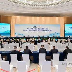 Hội nghị Bộ trưởng Năng lượng Diễn đàn Hợp tác Kinh tế châu Á - Thái Bình Dương (APEC) lần thứ 16. Ảnh: Cục Điện lực