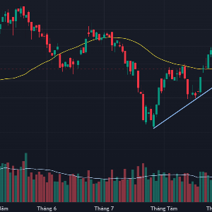 VN-Index và đường trung bình 50 ngày.