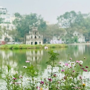 Ảnh minh hoạ. Nguồn: hanoi.gov.vn