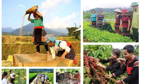 Cần ban hành Nghị định mới nhằm bảo đảm giải ngân thông suốt cho Chương trình mục tiêu quốc gia 2026