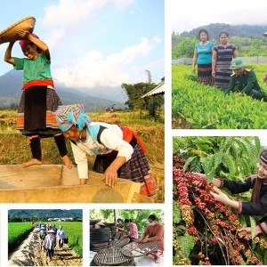Việc xây dựng dự thảo Nghị định trên cơ sở kế thừa các quy định còn phù hợp, giảm khâu trung gian, tăng phân cấp gắn với kiểm tra và trách nhiệm giải trình.. Ảnh minh họa: VGP.