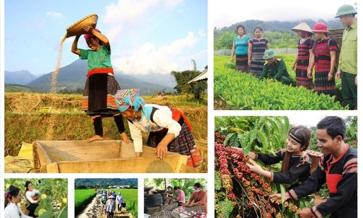 Việc xây dựng dự thảo Nghị định trên cơ sở kế thừa các quy định còn phù hợp, giảm khâu trung gian, tăng phân cấp gắn với kiểm tra và trách nhiệm giải trình.. Ảnh minh họa: VGP.