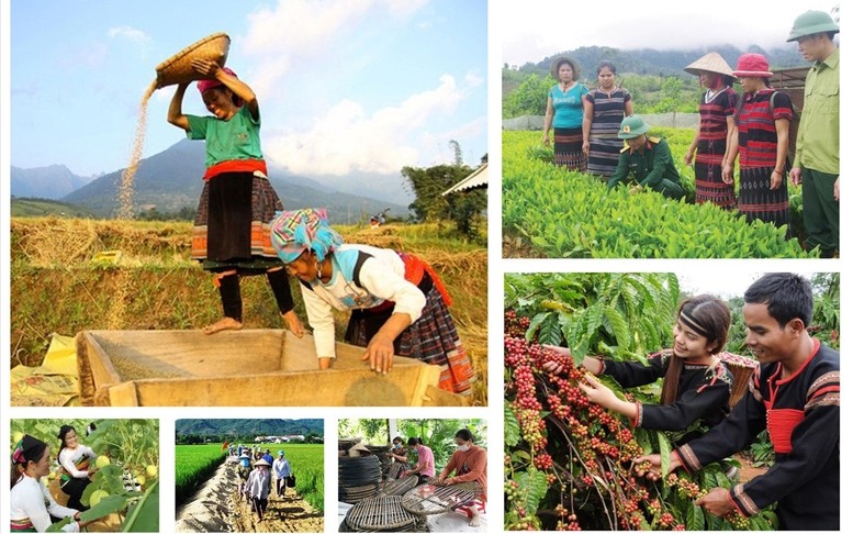 Việc xây dựng dự thảo Nghị định trên cơ sở kế thừa các quy định còn phù hợp, giảm khâu trung gian, tăng phân cấp gắn với kiểm tra và trách nhiệm giải trình.. Ảnh minh họa: VGP.