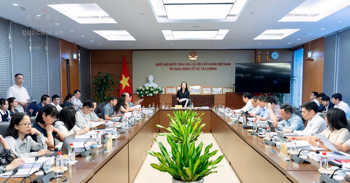 Dự &aacute;n Luật Giao dịch h&agrave;ng h&oacute;a ph&aacute;i sinh:...