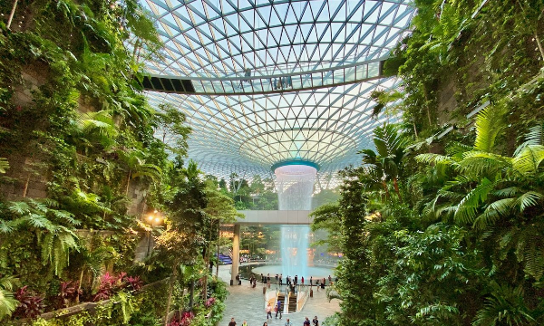 Sân bay trở thành điểm đến tham quan du lịch
